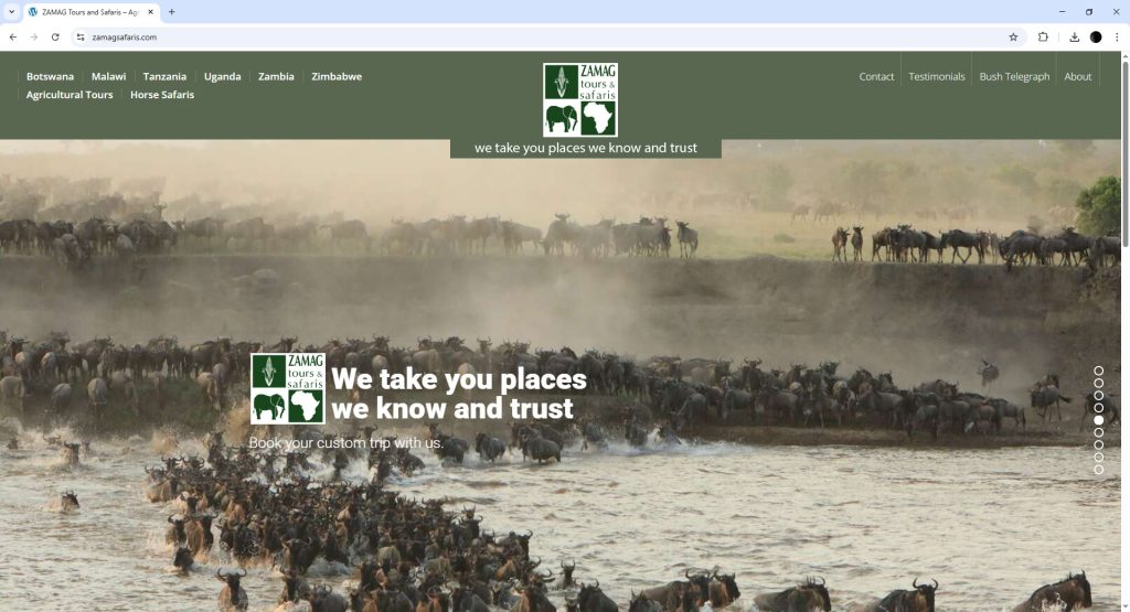 Zamag Safari homepage